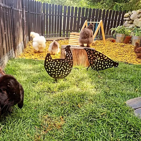 Walizka Wspomnien 3* カルパッチ